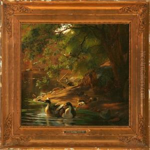 Ducks At A Shore - view 1