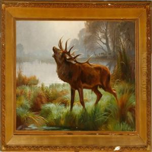 Roaring Stag Standing By A Lake