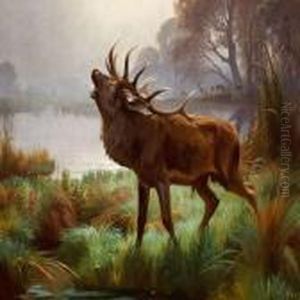 A Roaring Stag Standing By A Lake
