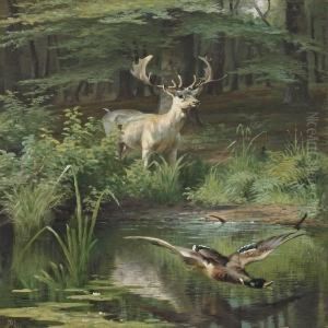 Forest Lake With Deer And Duck Taking Off
