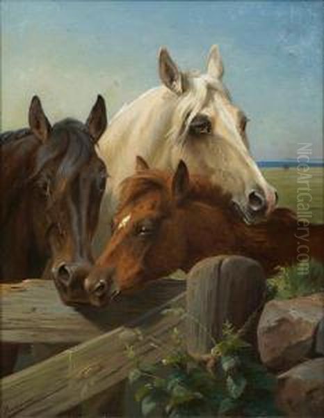 Horses In A Corral - view 1