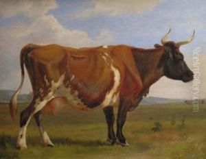 Vache