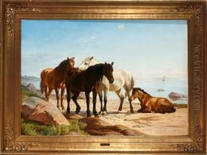 Horses On A Beach Horses On A Beach