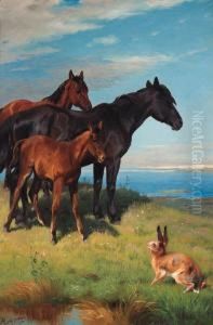 Ponies And A Hare Overlooking The Sea