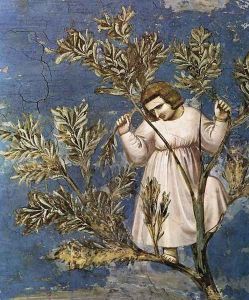 No. 26 Scenes from the Life of Christ- 10. Entry into Jerusalem (detail) 1304 by Giotto Di Bondone