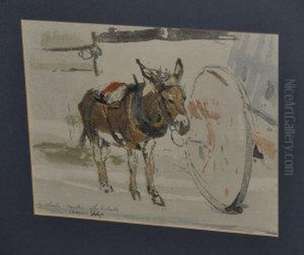 Donkey - view 1