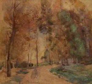 Woodland Path Woodland Path
