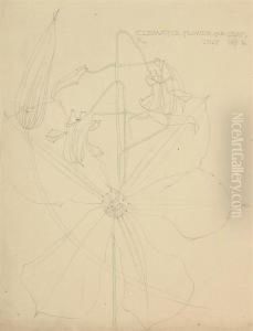 Clematis by Charles Rennie Mackintosh