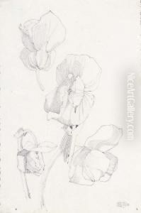 Large Petals