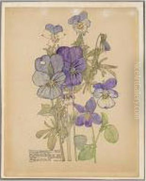 Wild Pansy And Wood Violet - view 1
