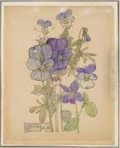 Wild Pansy And Wood Violet