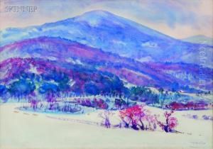 In The Mountains Of New Hampshire by Dodge Macknight