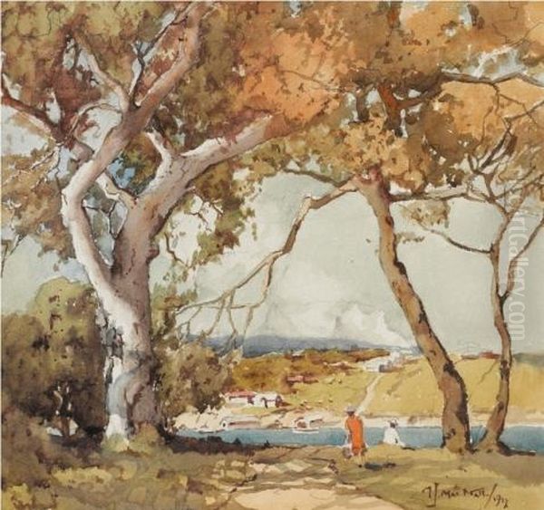 Landscape - view 1