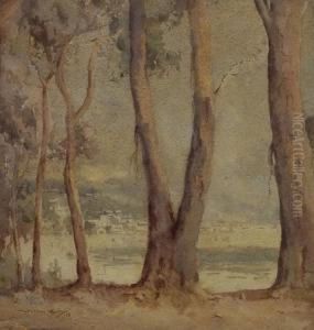 View Through Trees by Matthew James Macnally