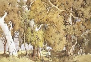 Sylvan Glade by Matthew James Macnally