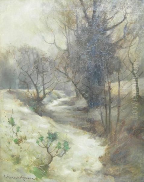 Snow-covered Brook - view 1