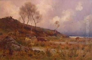 Highland Cattle Grazing by Robert Russell Macnee