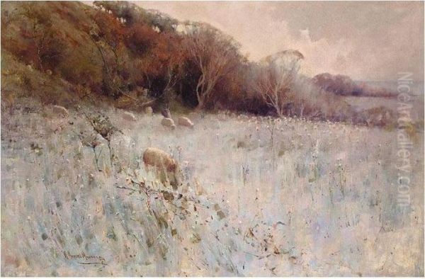 Sheep In A Meadow - view 1