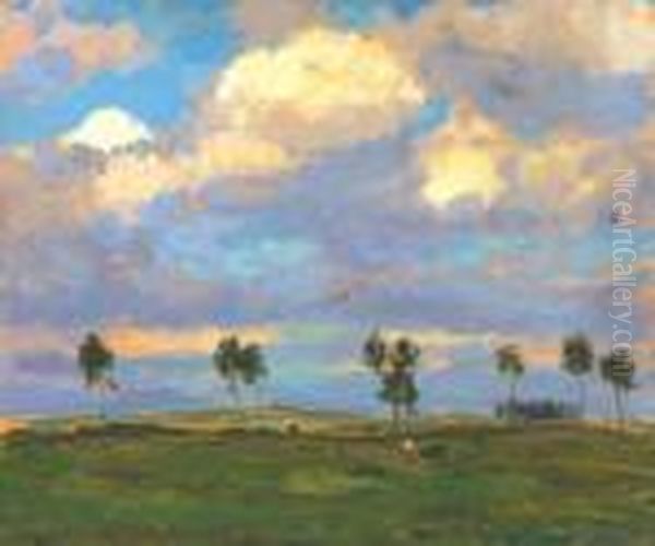 Cesta V Polich - view 1
