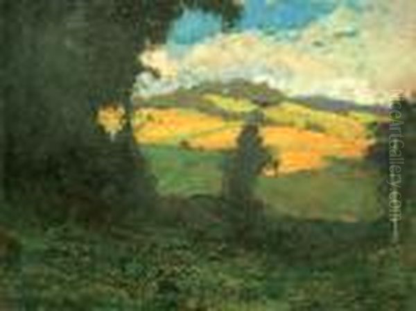 Letni Krajina - view 1