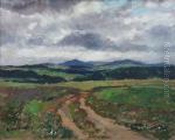 Otevreny Kraj - view 1