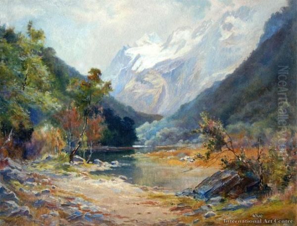 The Routeburn Valley - view 1