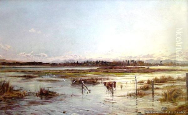 Mount Pleasant Estuary - view 1