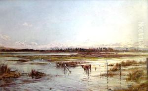 Mount Pleasant Estuary