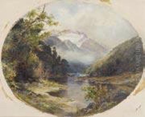 On The Bealey River, West Coast - view 1