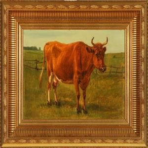 Cow On A Field