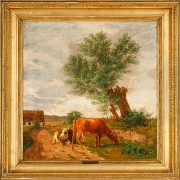 Cows At A Fence - view 1