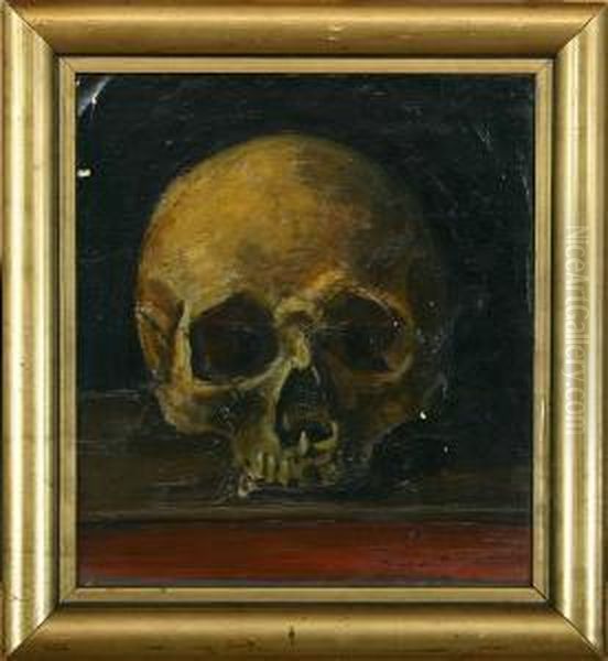 Study Of A Skull - view 1