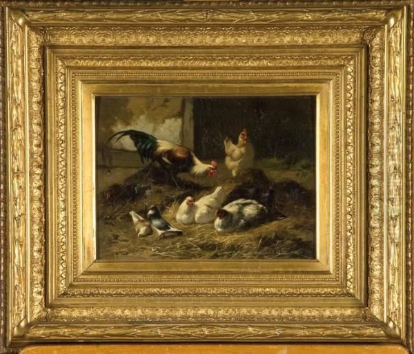 Coq, Poules Et Pigeons Dans La Paille - view 1