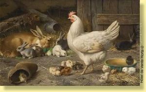 Lapins, Poule Et Poussins Dans La Grange