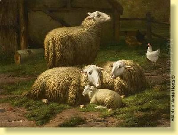 Moutons Et Poules - view 1
