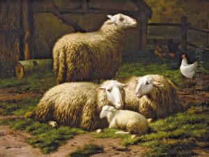 Sheep Resting Near A Stable