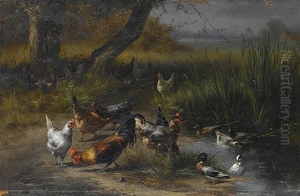Poultry And Ducks By A Pond - view 1
