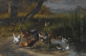 Poultry And Ducks By A Pond