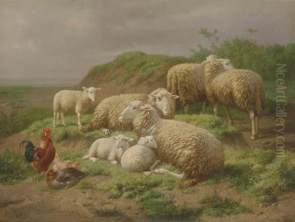 Sheep And Roosters In A Pasture - view 1