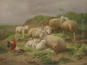 Sheep And Roosters In A Pasture