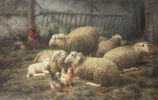 Schapen, (sheep) - view 1