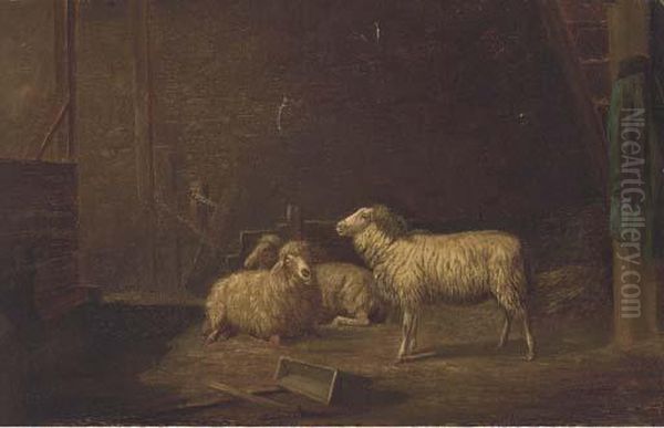 Sheep In A Stable - view 1