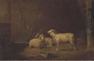 Sheep In A Stable