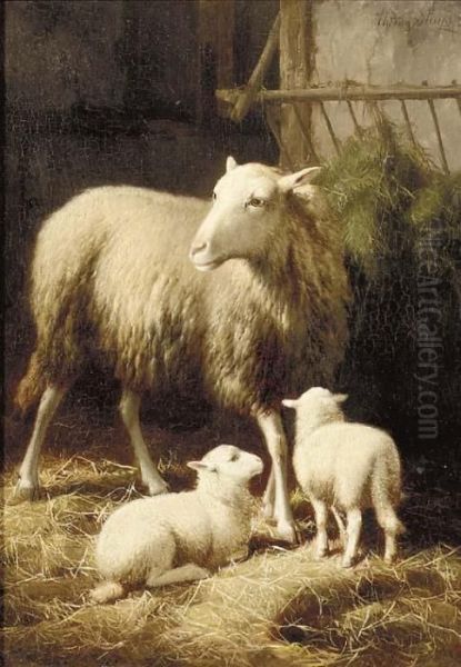 Moutons Dans La Bergerie - view 1