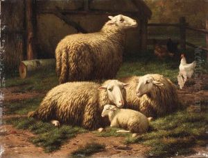 In The Farmyard