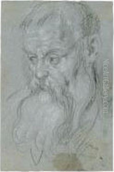 Head Of A Bearded Man - view 1