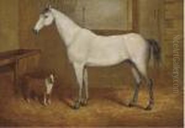 A Grey With A Terrier In A Stable - view 1