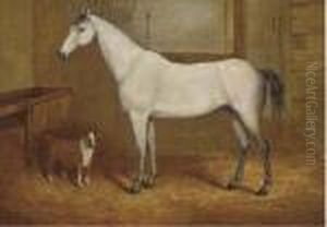 A Grey With A Terrier In A Stable by John Charles Maggs