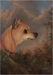 Head Of A Chihuahua by John Charles Maggs