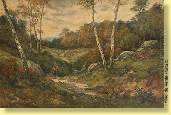 Fagotiere Dans Un Chemin Creux - view 1